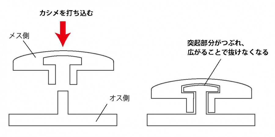 カシメの構造