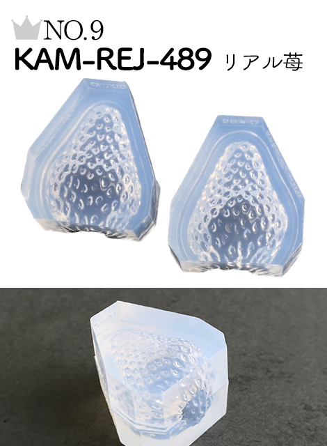No.9 KAM-REJ-489 リアルいちごモールド
