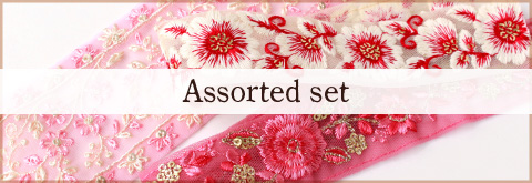 Indian Embroidery Ribbon Assorted set
