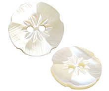 Shell, pearl buttons