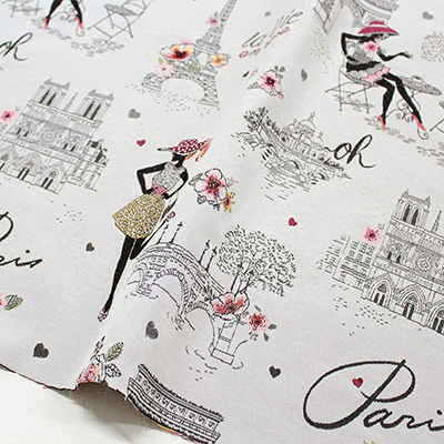 CHIC-E-50 Jacquard ジャガード生地 [Chic]  SAFECO from france 幅約150cm 50cm単位　(枚) 0