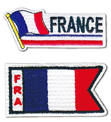 BW022-05199 パイオニア ワッペン アップリケ 国旗 フランス 仏蘭西 2枚セット (枚)