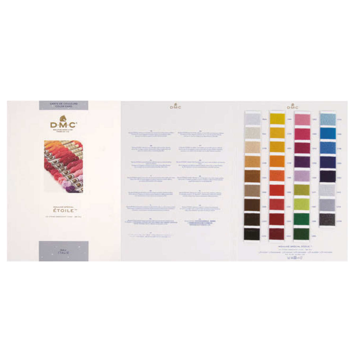 【刺繍受注会】【お取り寄せ・返品不可】DMC-W617 エトワール糸見本帳 (冊)