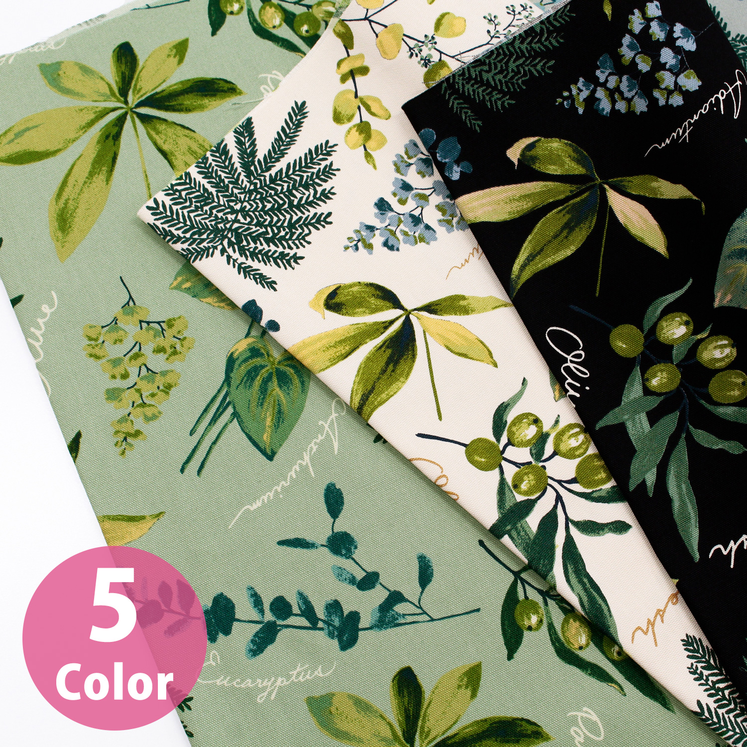SC10672 Oxford print fabric "House Plants" 1m unit (m)