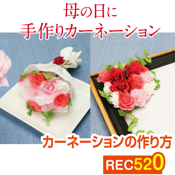 REC520 Handmade Fake Carnations (sheet)