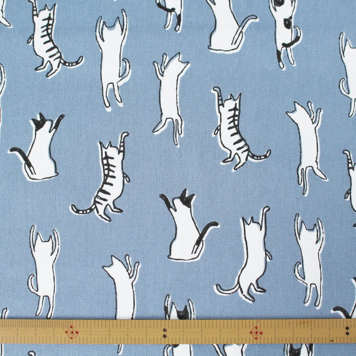 [Only on Online Shop]■7098-2C Cotton OX Fabric cat blue width 110cm （roll）