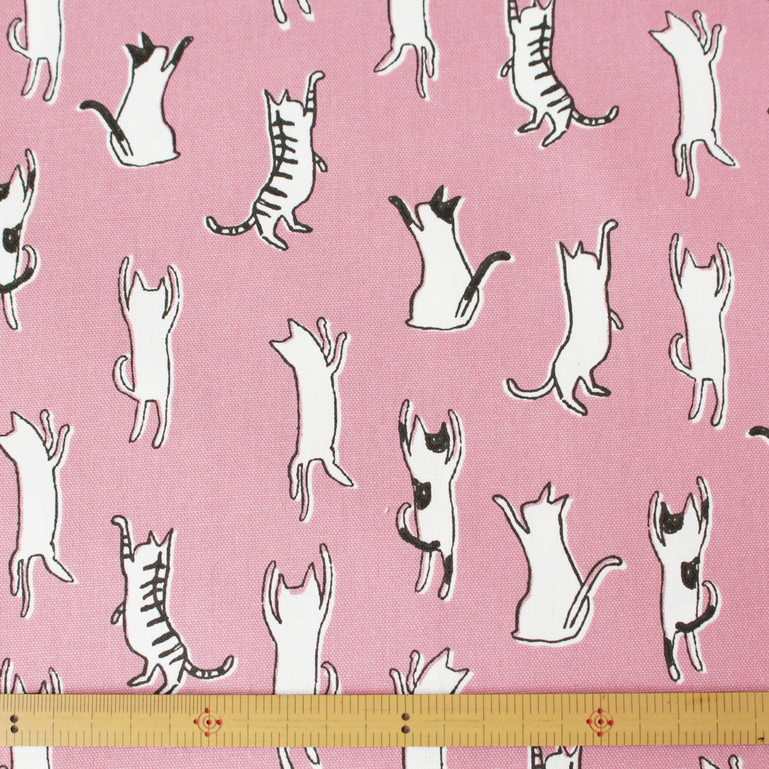 [Only on Online Shop]■7098-2B Cotton OX Fabric cat pink width 110cm （roll）