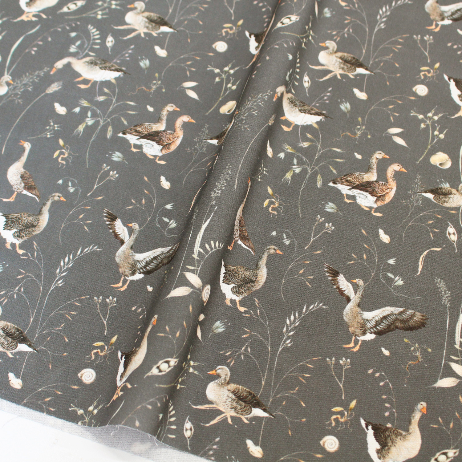 ■ACU3523-855R acufactum printed fabric approx. 150cm Width, 10m roll (roll)