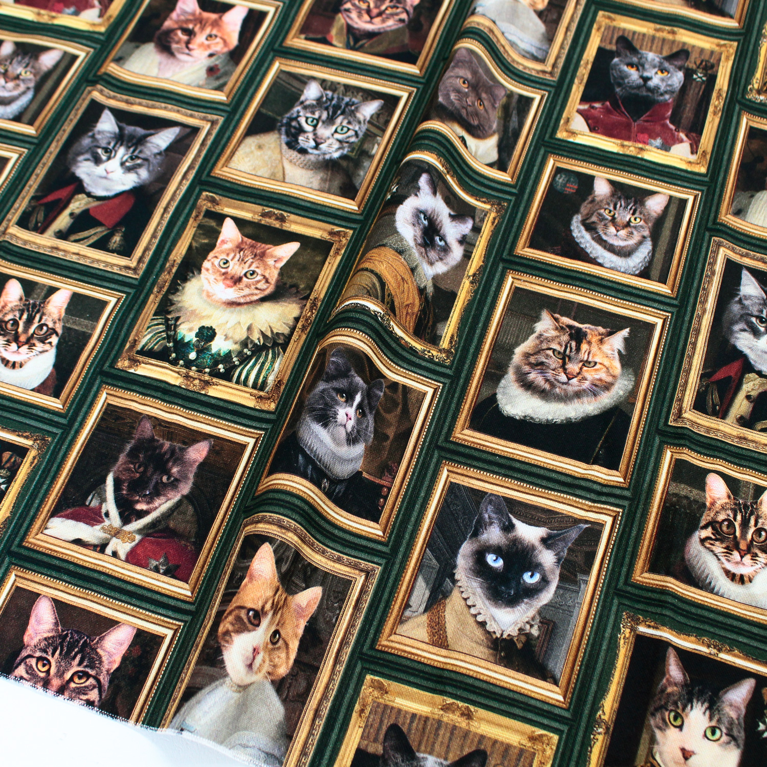 BB1470-180 Museum Cat Oxford Cloth, Digital Print, Imported from the Netherlands, 140cm Wide, 1m/unit (m)