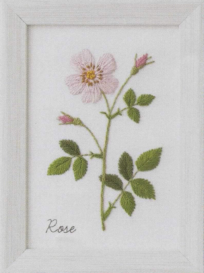 CSK542006 Embroidery Kit (pcs)