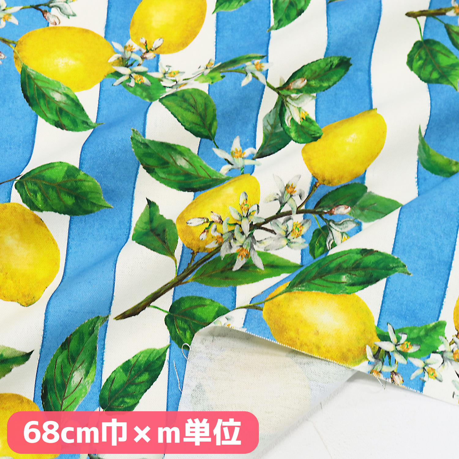 VIL3159H-36 European Premium Print デジタルプリントオックス ハーフワイドサイズ 巾約68cm m単位 (m)