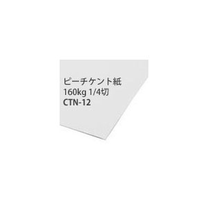 【+別途送料対象商品】CTN12-50 ピーチケント紙160kg 39.4×54.5cm 50枚入 (袋)