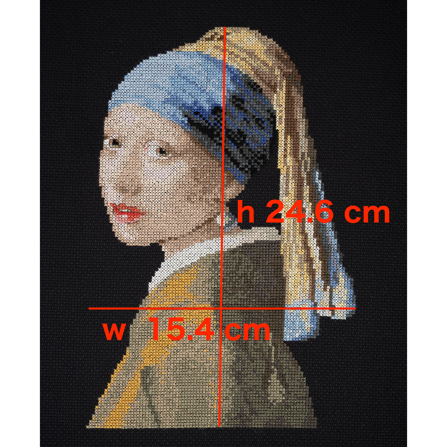 刺繍受注会】【お取り寄せ・返品不可】DMC-BK2008 クロスステッチ