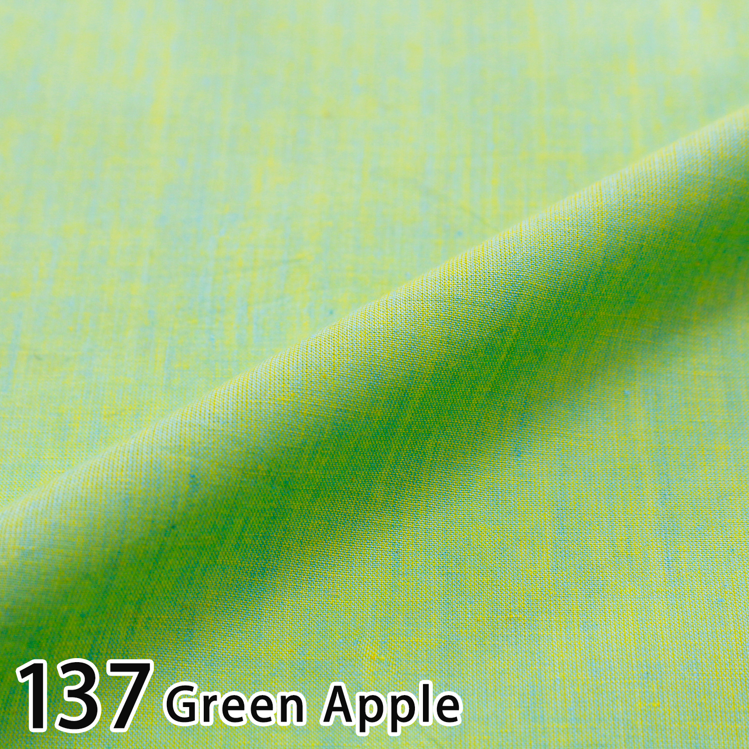 FSP-MUZI137 USA Dyed Fabric Free Spirit Kaffe Fassett width 110cm (m)