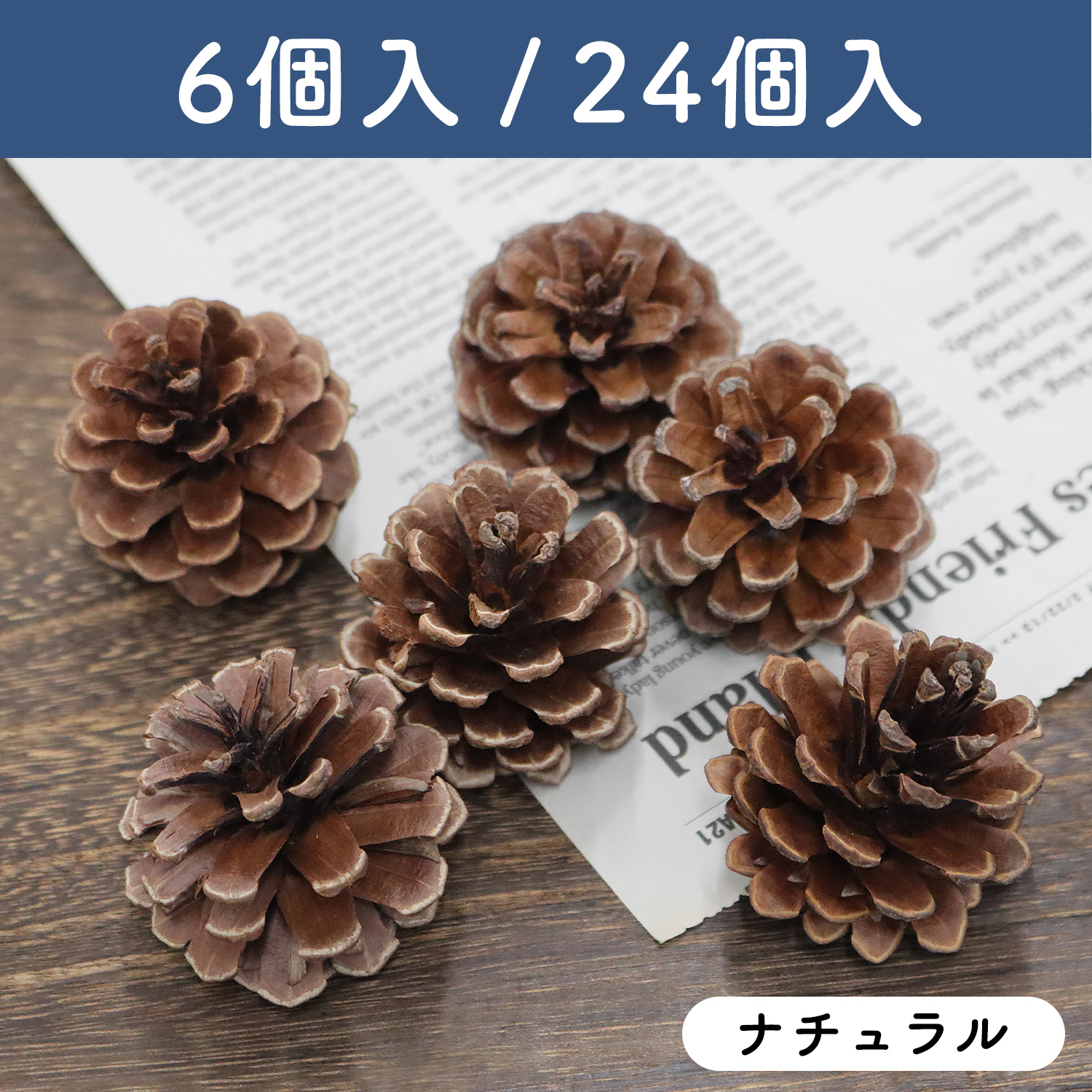 P9845-LN Limited Quantity! Natural Pine Cones [Natural] 6-Pack, 24-Pack (Bag)