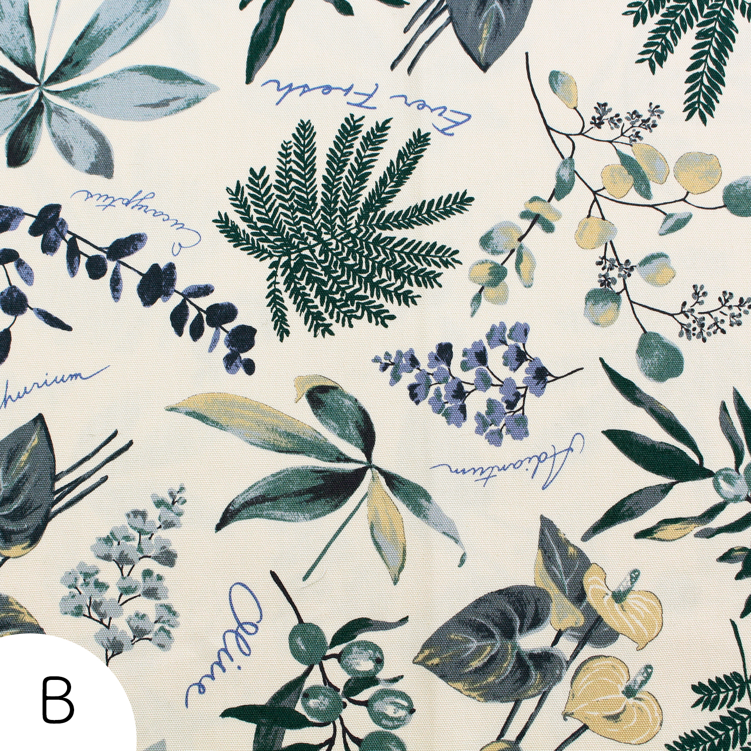 【WEB限定・原反特価】■SC10672-B オックスプリント生地 「ハウスプランツ」 原反特価 (巻)