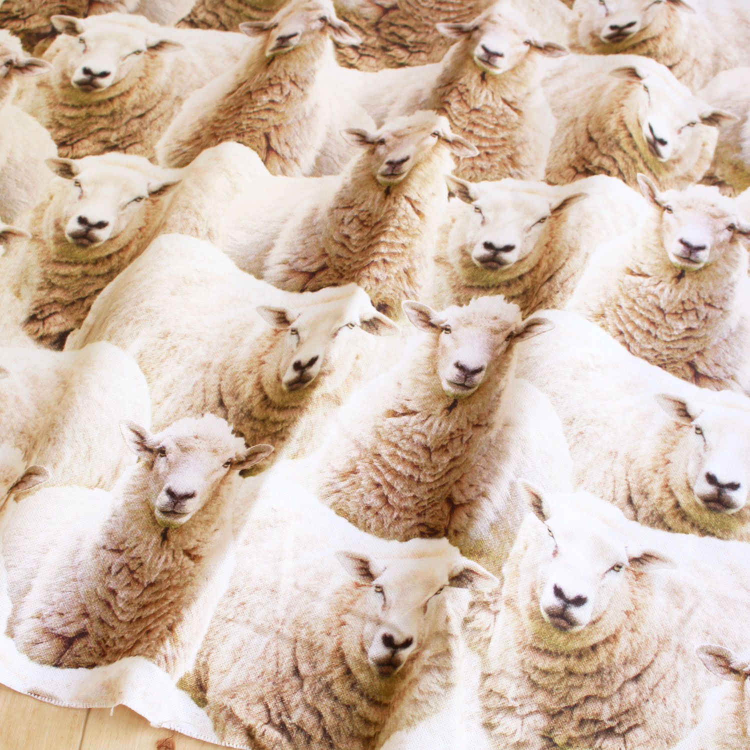 BB1430-105-50CM 羊の群れ オックス生地 デジタルプリント オランダ輸入 140cm巾 50cm単位 (枚)