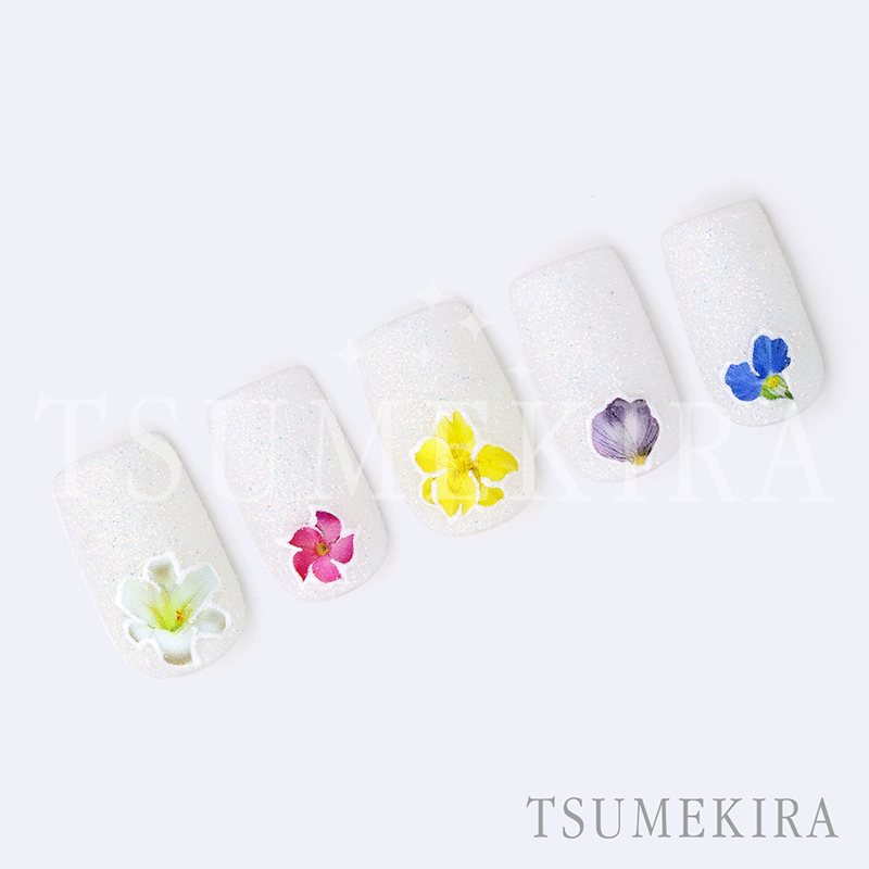 3/27まで販売】【お取り寄せ・返品不可】NN-TAS-001 TSUMEKIRA