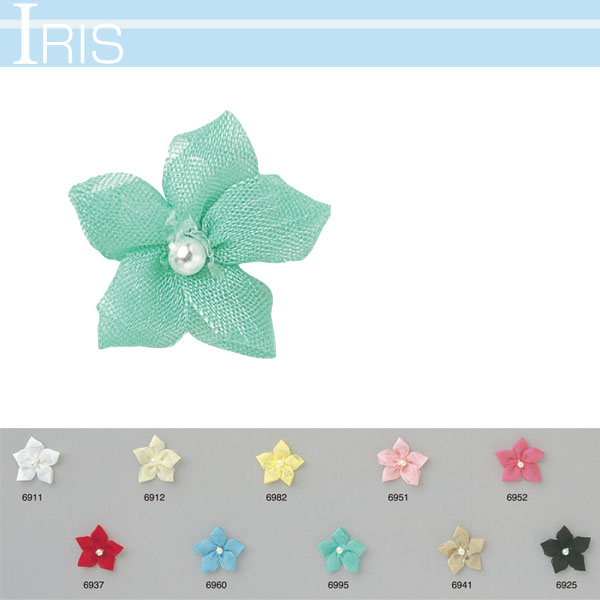 [Order upon demand, not returnable] AAR Iris 4 pcs