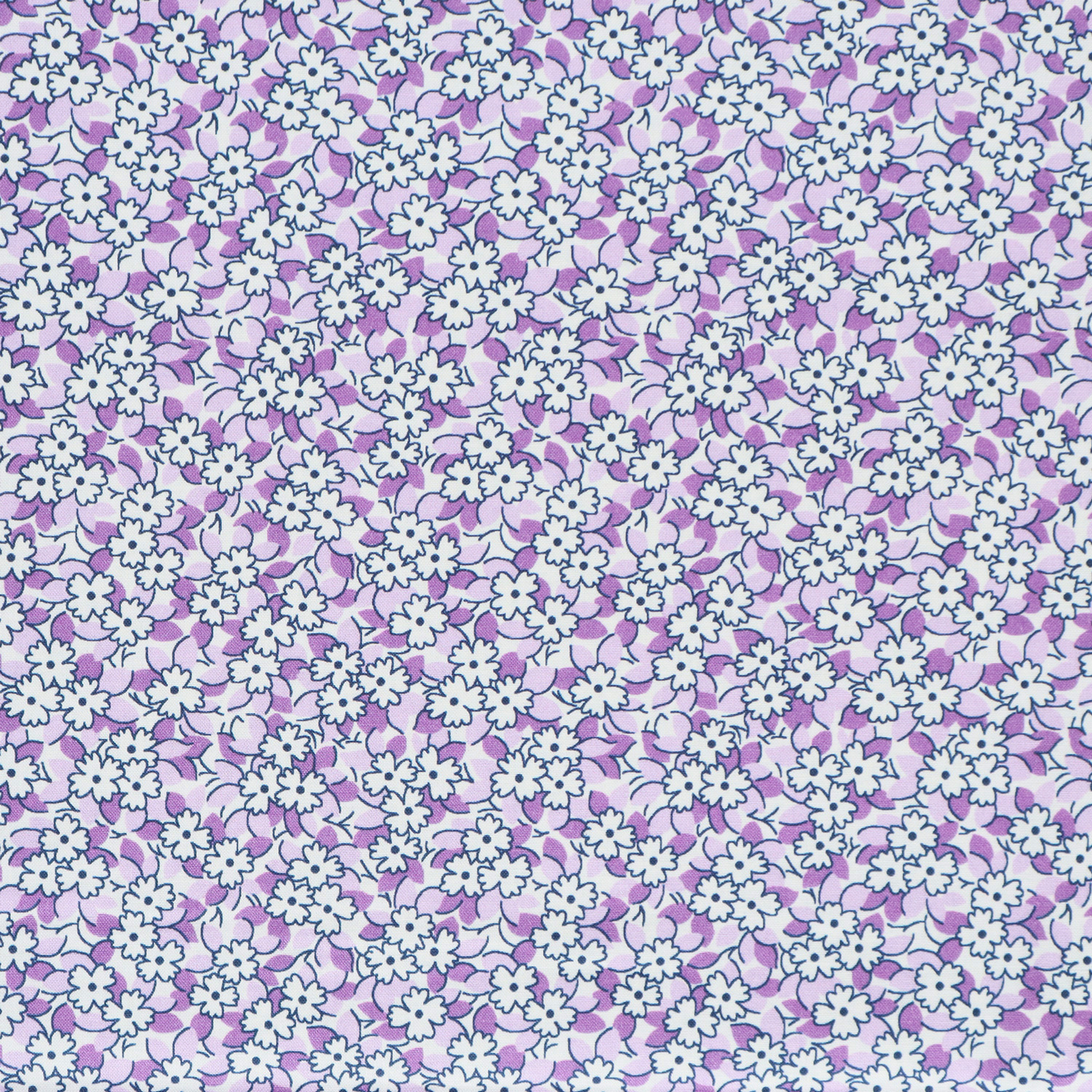 【0615新柄】  ADZ20492-23 ROBERT-KAUFMAN ロバート・カフマン パープル地 ホワイト極小花柄  USAプリント m単位 (m)