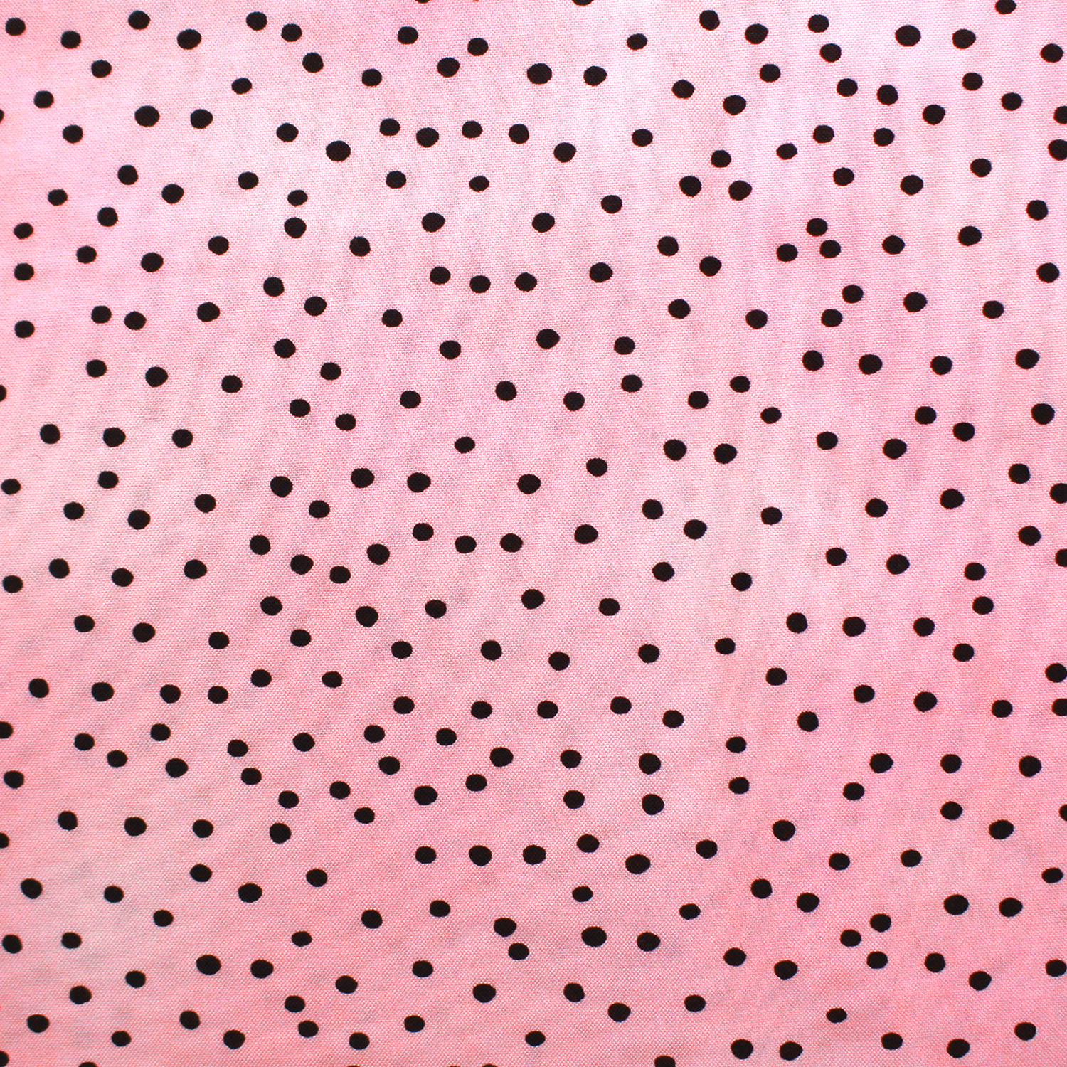【1221再プリ】LORA692-525 Loralie Designs ピンク地黒ドット 巾約110cm×1m単位 (m)
