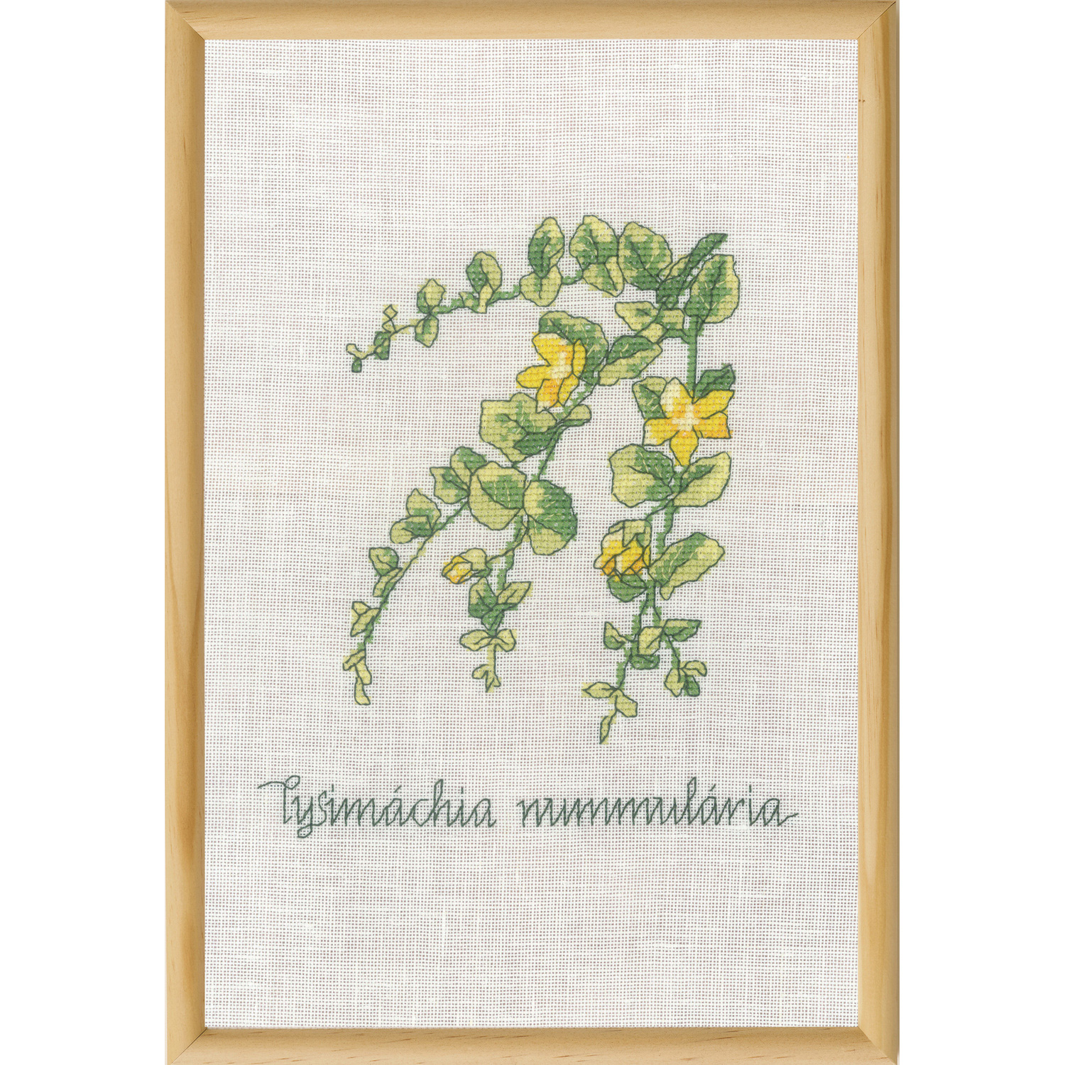 PMN70-1831 PERMIN 刺しゅうキット Lysimachia (個)