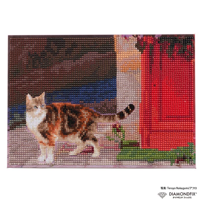 T10-5971 ダイヤモンドフィックス フランスの猫 ビーズキット (箱)