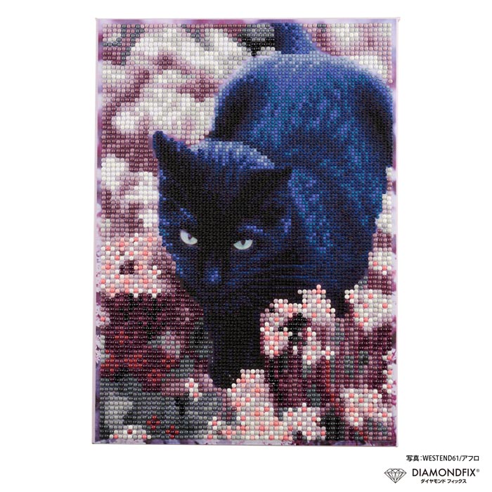 T10-5972 ダイヤモンドフィックス ブラックキャット・トム ビーズキット (箱)
